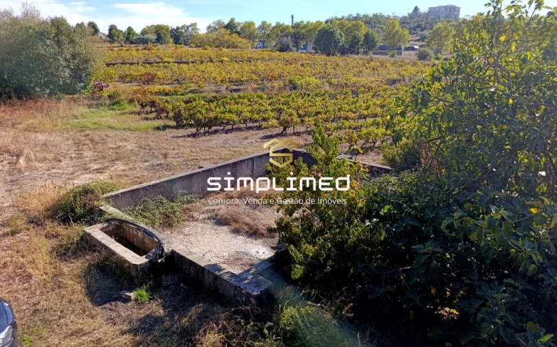 Quinta T1 para Venda em Belmonte e Colmeal da Torre Foto 3