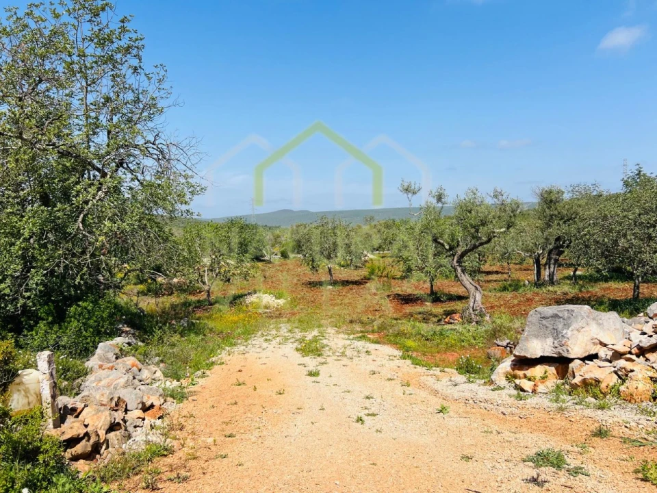 Terreno Agricola ou Rústico para Venda em Loule (São Sebastião) Foto 1