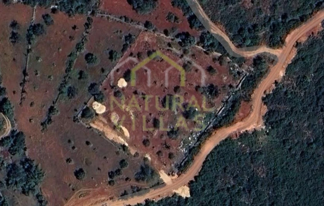 Terreno Agricola ou Rústico para Venda em Loule (São Sebastião) Foto 4