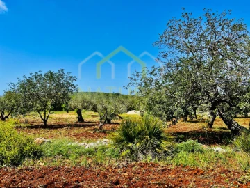 Terreno Agricola ou Rústico para Venda em Loule (São Sebastião)
