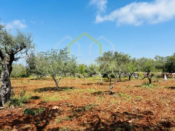 Terreno Agricola ou Rústico para Venda em Loule (São Sebastião)