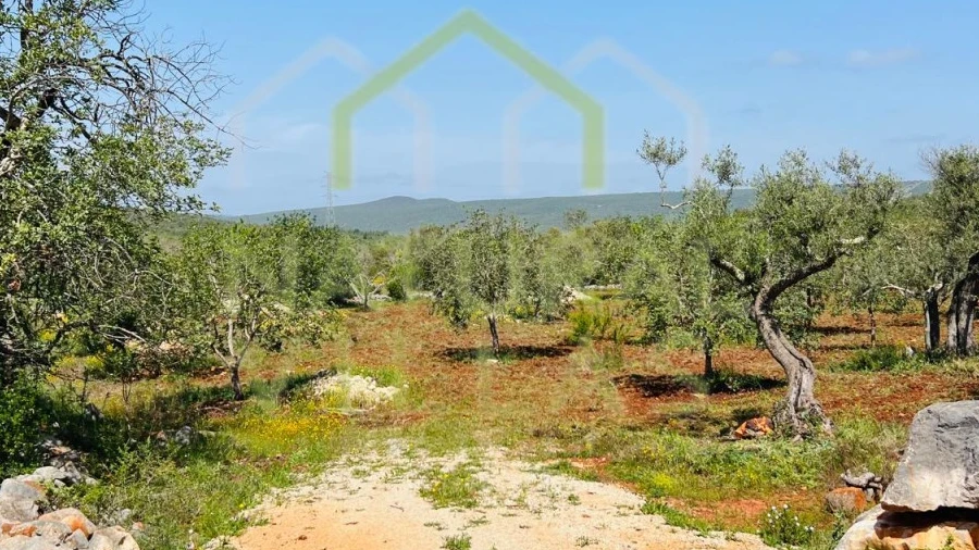 Terreno Agricola ou Rústico para Venda em Loule (São Sebastião)