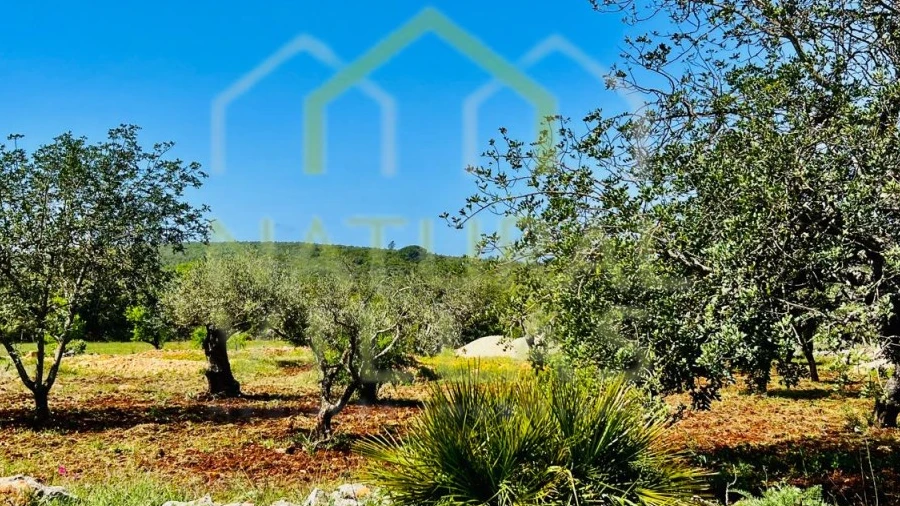 Terreno Agricola ou Rústico para Venda em Loule (São Sebastião)