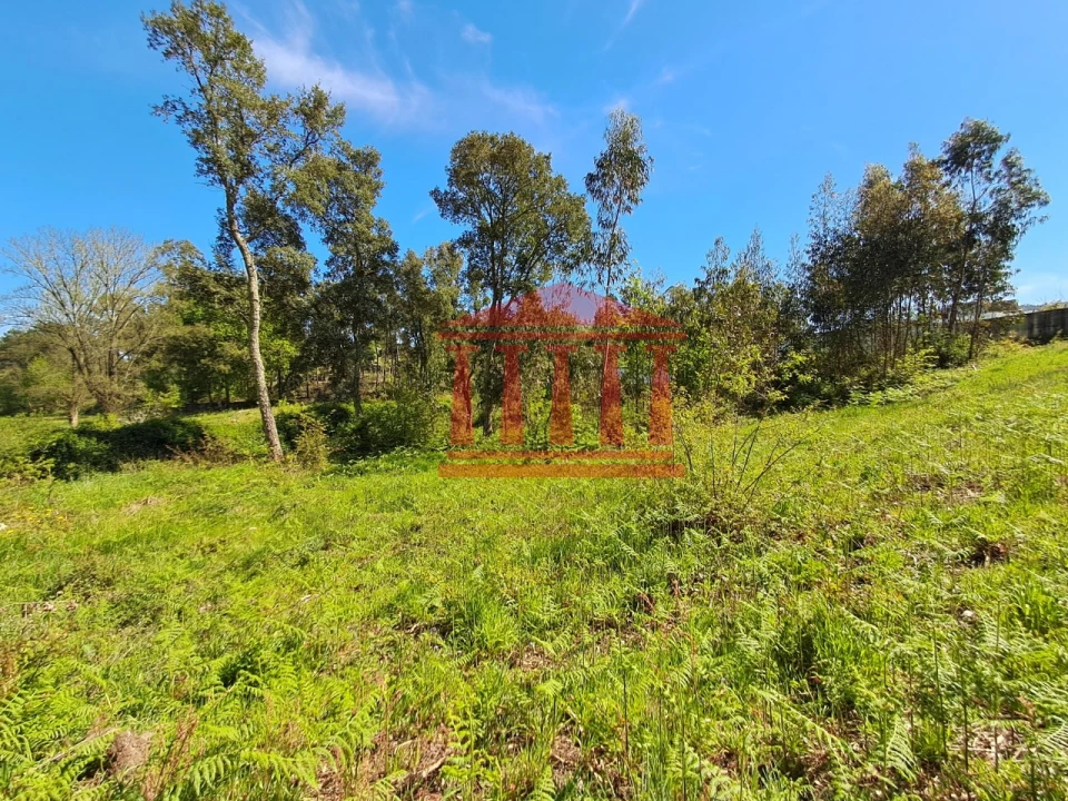 Terreno Agricola ou Rústico para Venda em Martim Foto 2