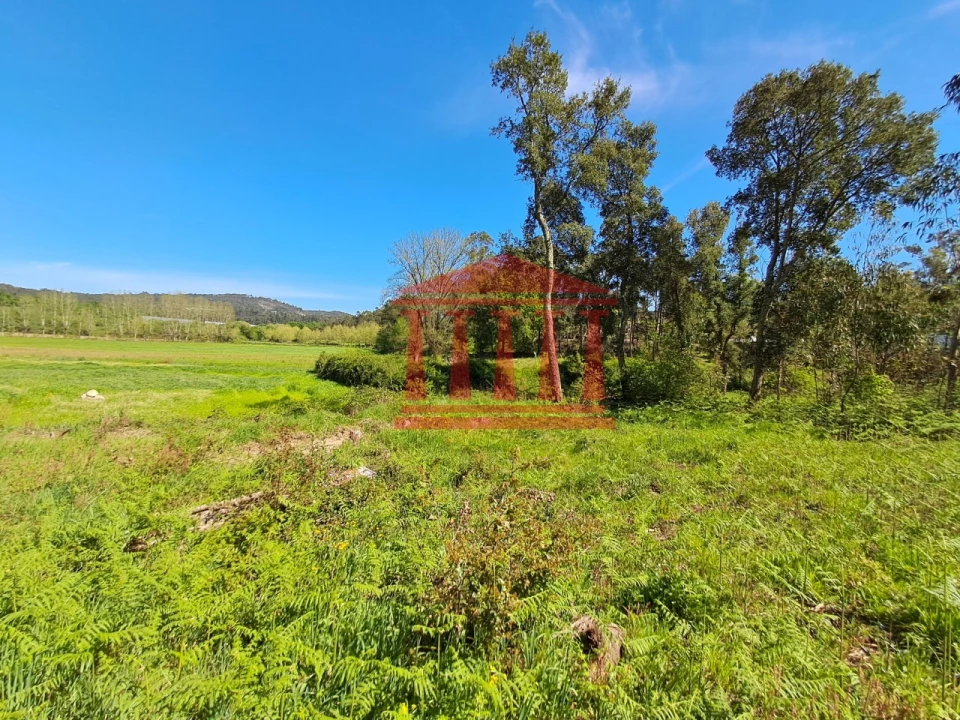 Terreno Agricola ou Rústico para Venda em Martim Foto 4