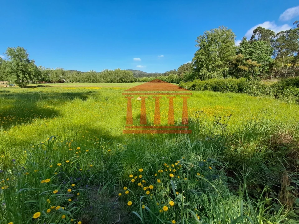 Terreno Agricola ou Rústico para Venda em Martim Foto 1