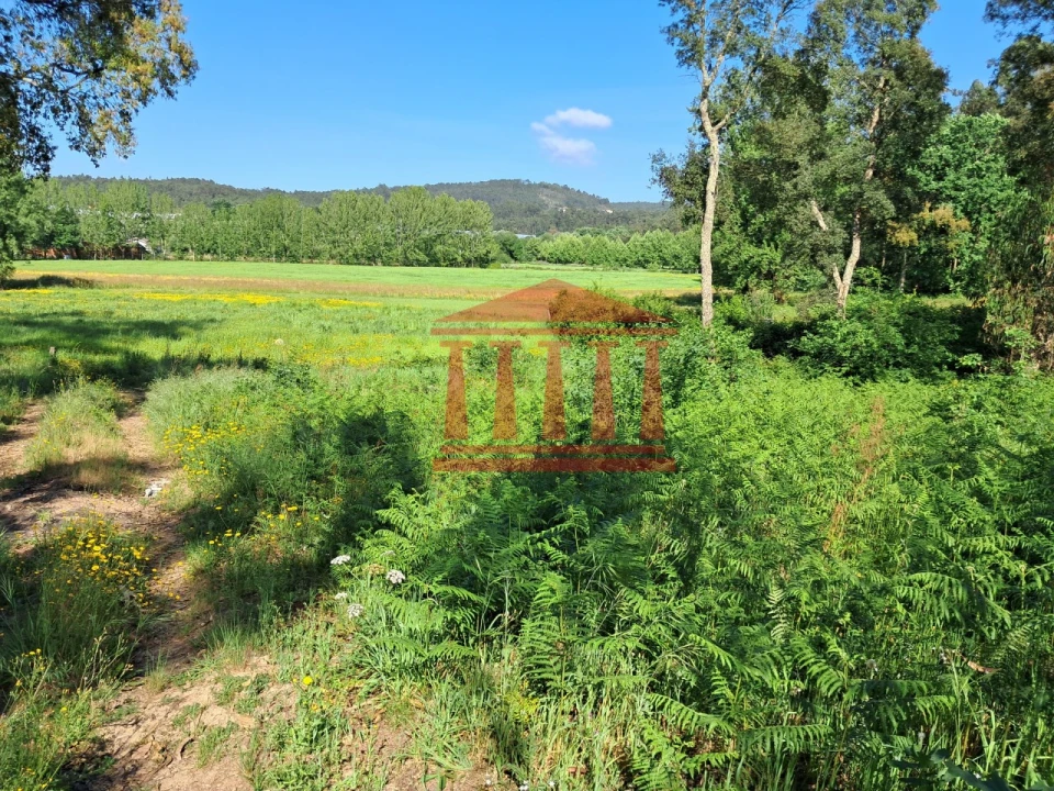 Terreno Agricola ou Rústico para Venda em Martim Foto 3