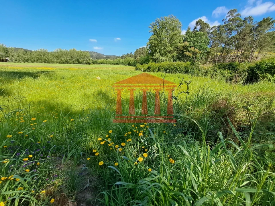 Terreno Agricola ou Rústico para Venda em Martim Foto 7