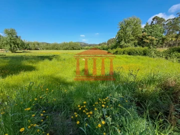 Terreno Agricola ou Rústico para Venda em Martim