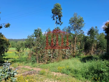 Terreno Agricola ou Rústico para Venda em Martim