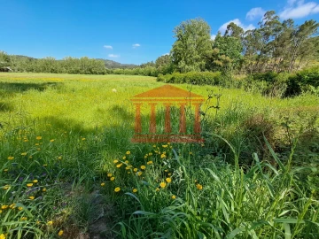Terreno Agricola ou Rústico para Venda em Martim
