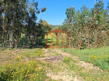 Terreno Agricola ou Rústico para Venda em Martim