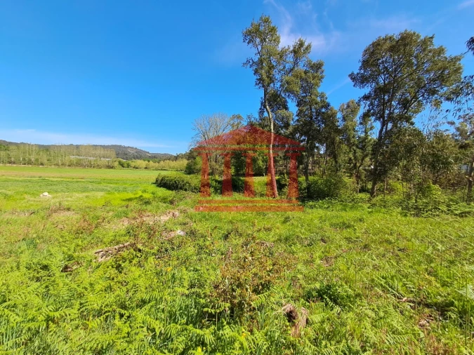 Terreno Agricola ou Rústico para Venda em Martim Foto 4