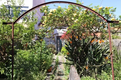 Moradia T6 para Venda em Ovar, São João, Arada e São Vicente de Pereira Jusã