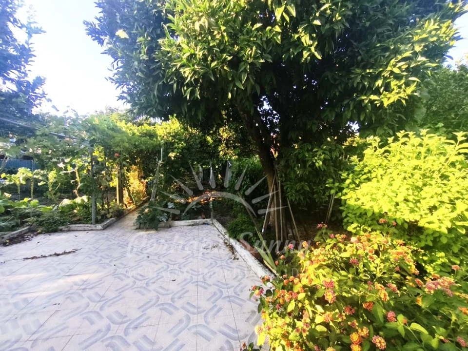 Moradia T2 para Venda em Grândola e Santa Margarida da Serra Foto 14