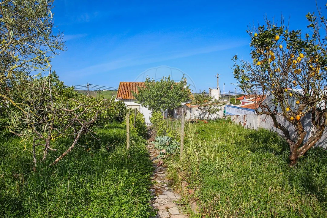 Moradia T3 para Venda em São Pedro da Cadeira Foto 34