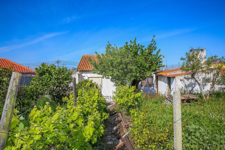 Moradia T3 para Venda em São Pedro da Cadeira Foto 39