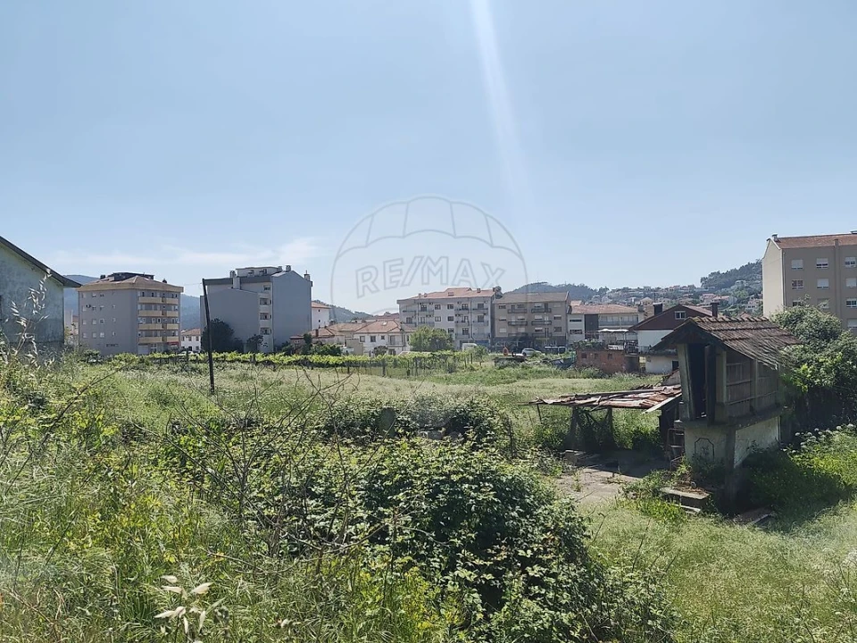 Terreno para Venda em São Pedro de Castelões Foto 7