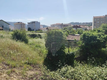 Terreno para Venda em São Pedro de Castelões