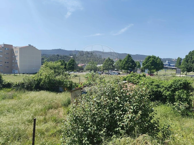 Terreno para Venda em São Pedro de Castelões Foto 5