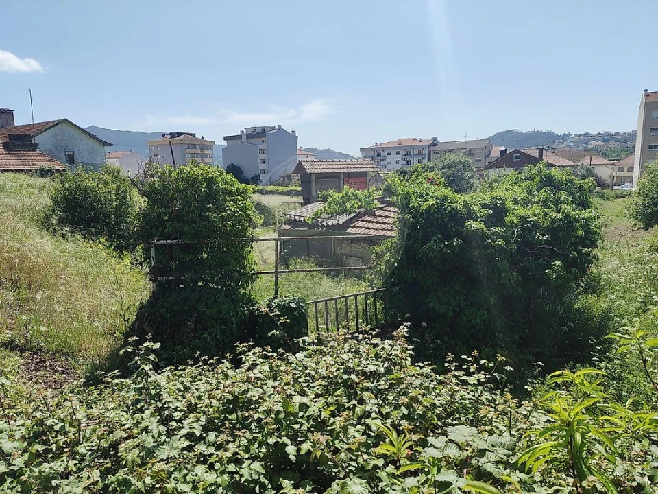 Terreno para Venda em São Pedro de Castelões Foto 2