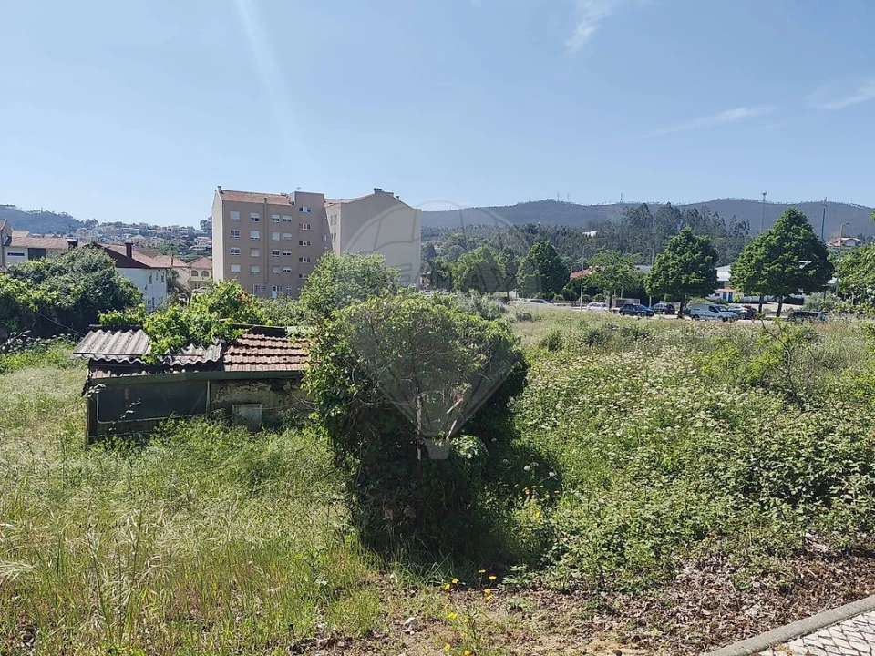 Terreno para Venda em São Pedro de Castelões Foto 3