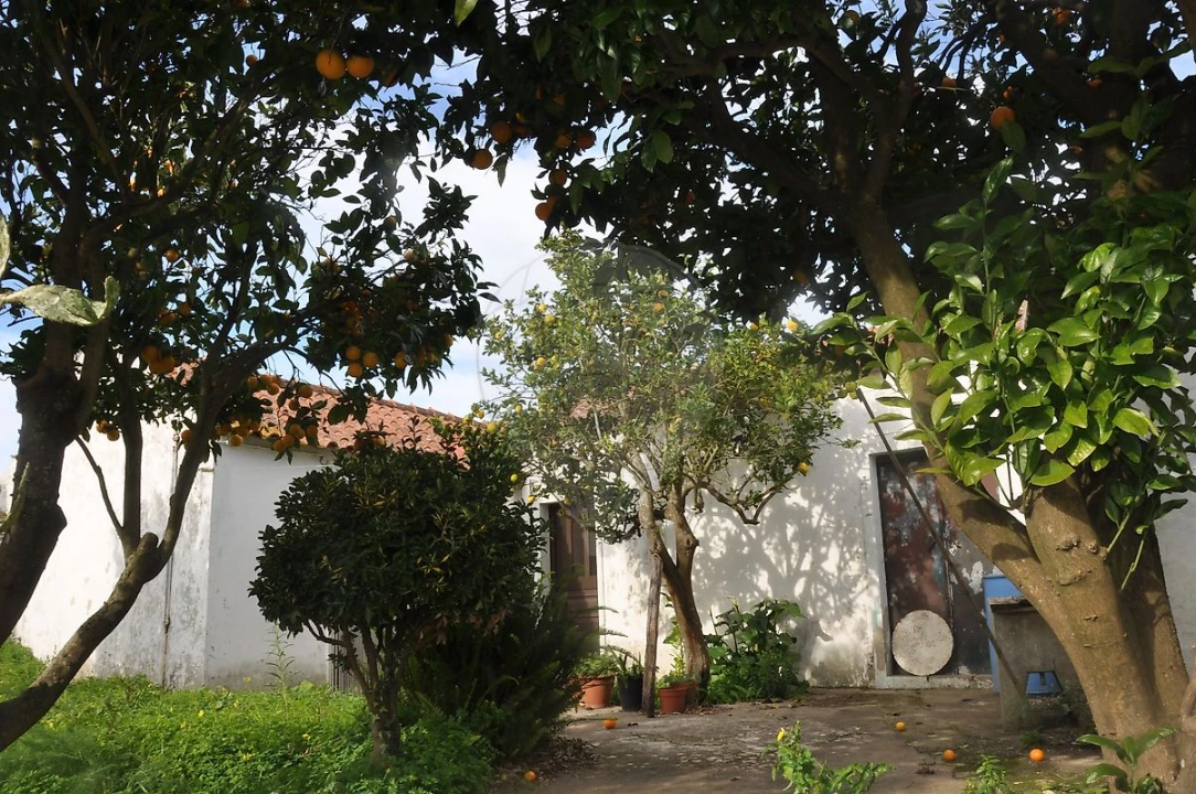 Moradia T2 para Venda em Carnota Foto 4