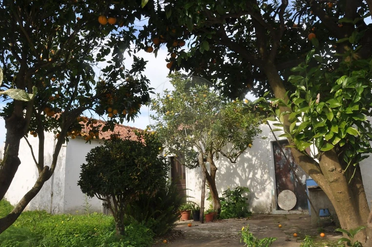 Moradia T2 para Venda em Carnota Foto 4