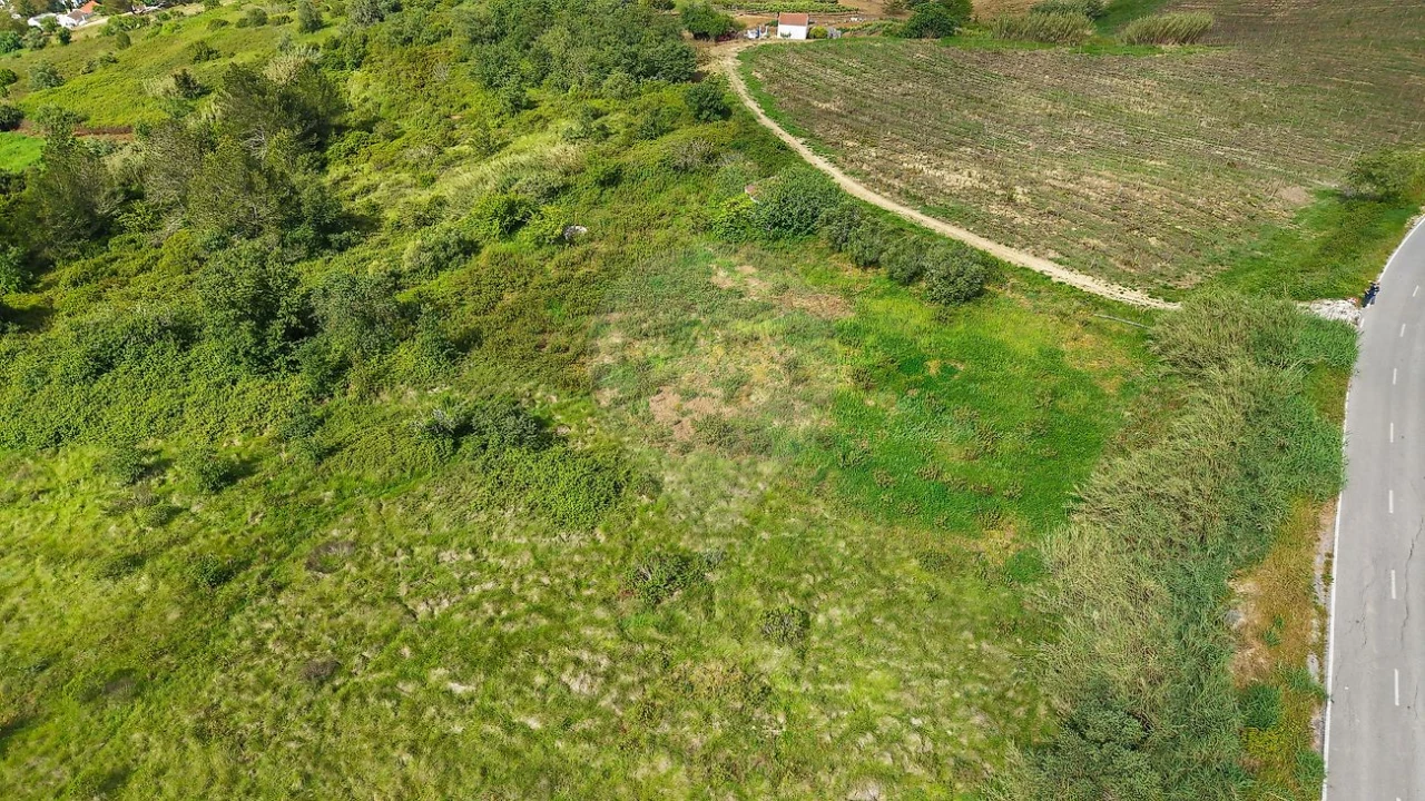 Terreno para Venda em Dois Portos e Runa Foto 15