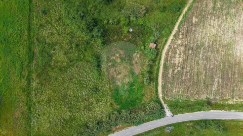 Terreno para Venda em Dois Portos e Runa