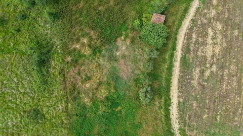 Terreno para Venda em Dois Portos e Runa