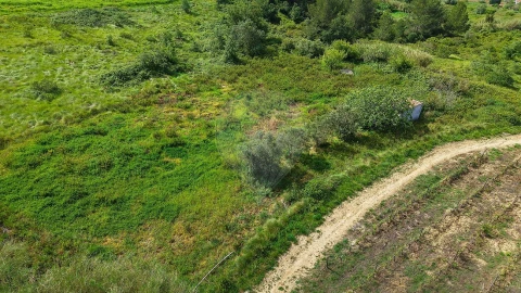 Terreno para Venda em Dois Portos e Runa