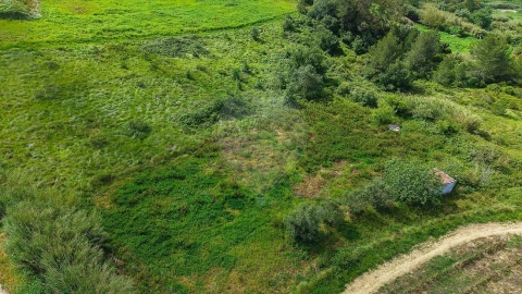 Terreno para Venda em Dois Portos e Runa