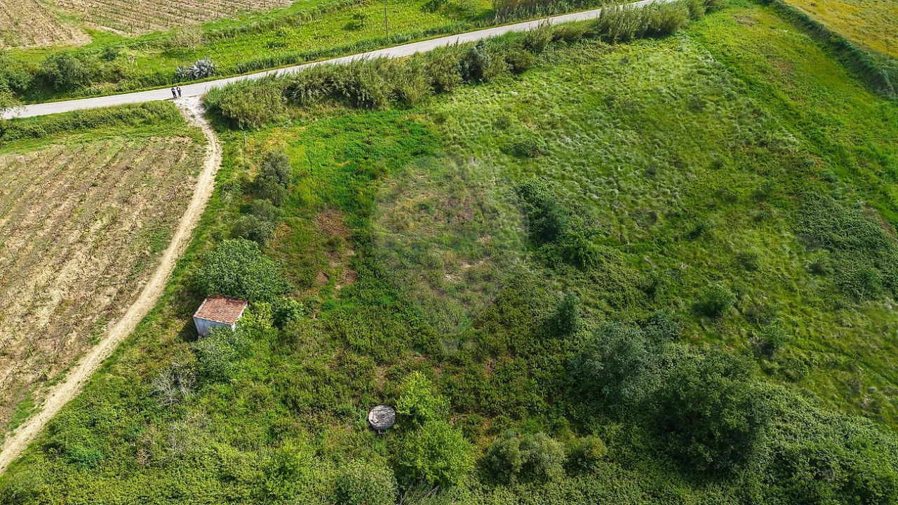 Terreno para Venda em Dois Portos e Runa Foto 7