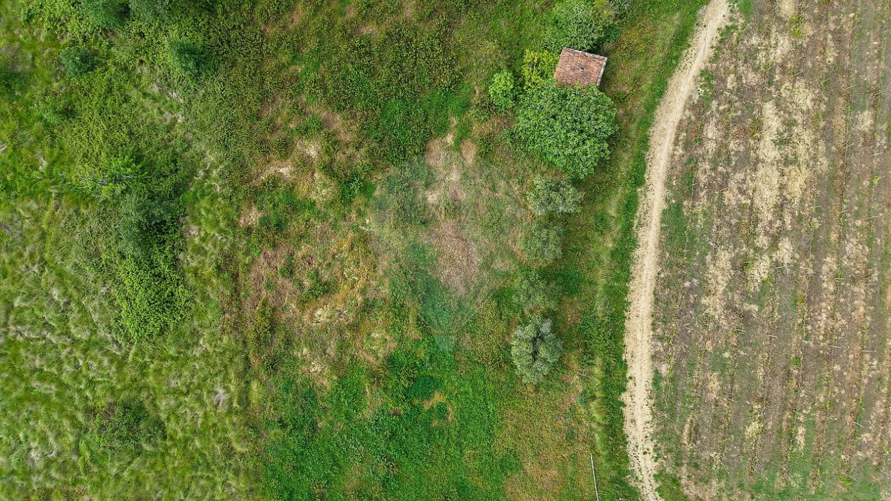 Terreno para Venda em Dois Portos e Runa Foto 19