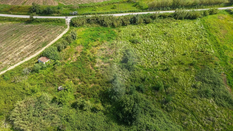 Terreno para Venda em Dois Portos e Runa Foto 8