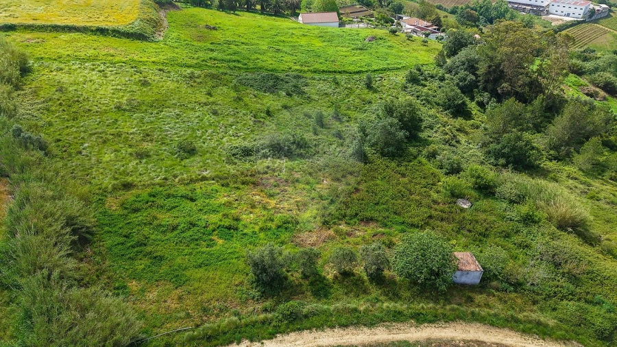 Terreno para Venda em Dois Portos e Runa Foto 5
