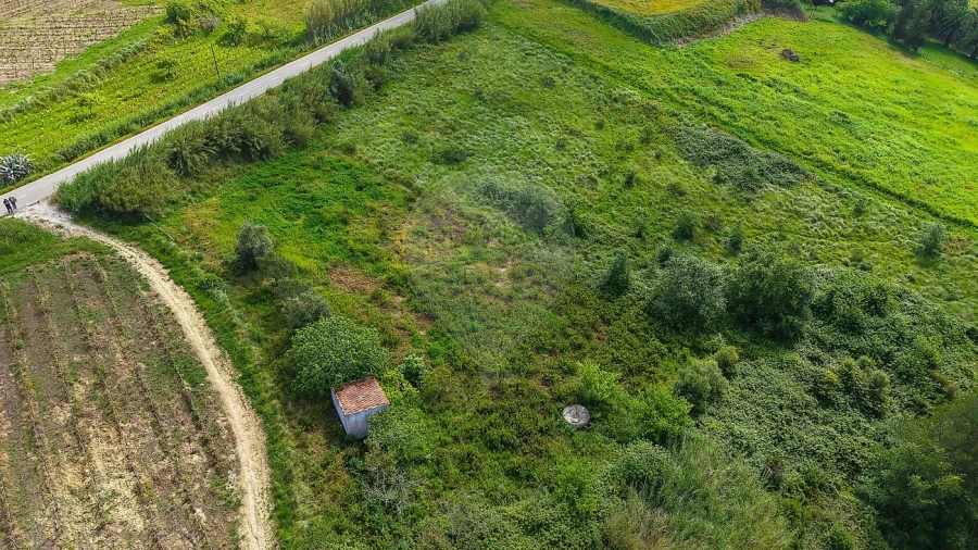 Terreno para Venda em Dois Portos e Runa Foto 6