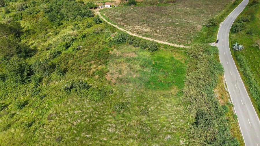 Terreno para Venda em Dois Portos e Runa Foto 12