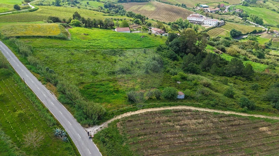 Terreno para Venda em Dois Portos e Runa Foto 17