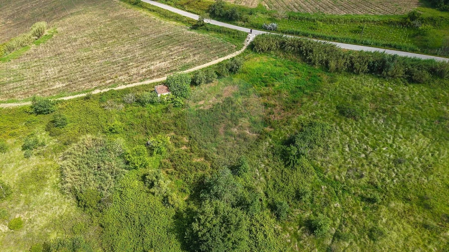 Terreno para Venda em Dois Portos e Runa Foto 10