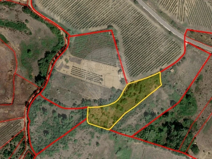 Terreno para Venda em Dois Portos e Runa