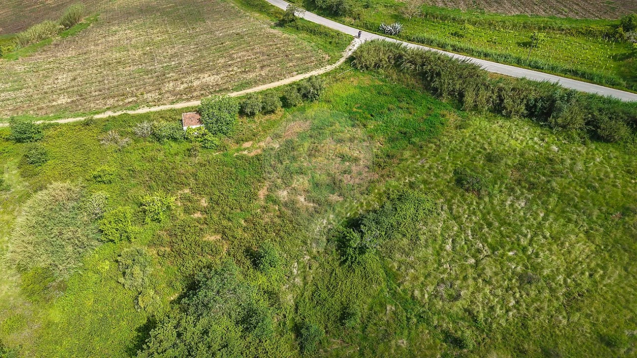Terreno para Venda em Dois Portos e Runa Foto 11