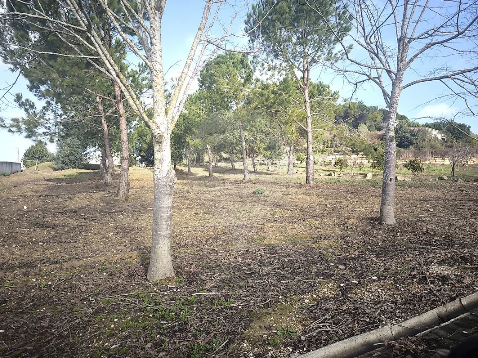 Moradia T4 para Venda em São João da Ribeira e Ribeira de São João Foto 49