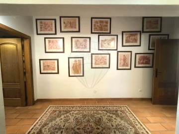 Moradia T4 para Venda em São João da Ribeira e Ribeira de São João