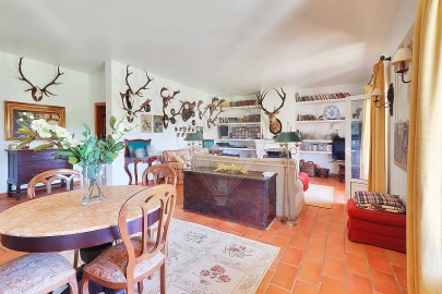 Moradia T4 para Venda em São João da Ribeira e Ribeira de São João