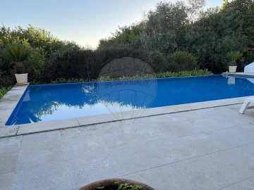 Moradia T4 para Venda em São João da Ribeira e Ribeira de São João