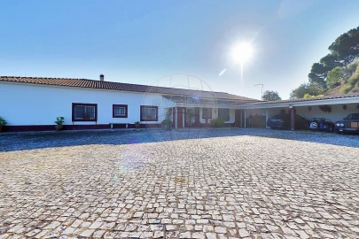 Moradia T4 para Venda em São João da Ribeira e Ribeira de São João