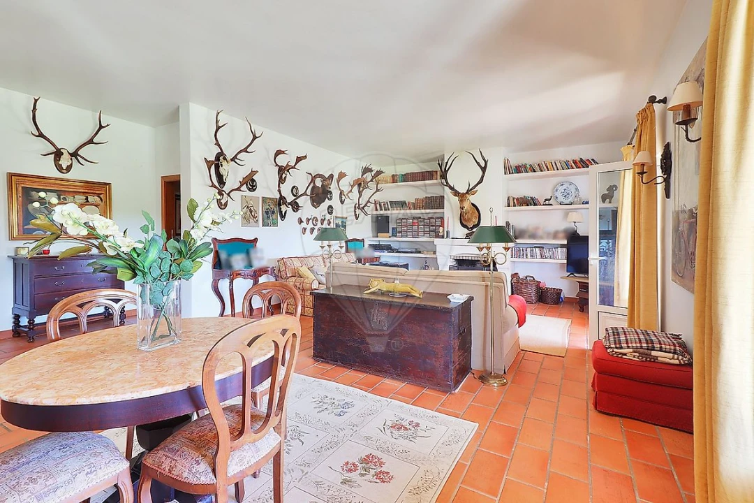 Moradia T4 para Venda em São João da Ribeira e Ribeira de São João Foto 6