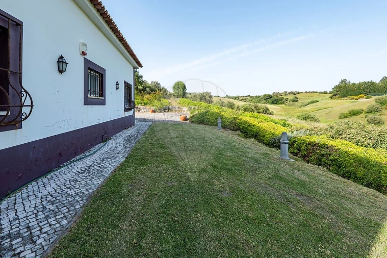 Moradia T4 para Venda em São João da Ribeira e Ribeira de São João Foto 42